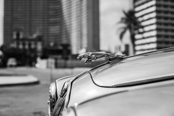 웨이거웹 카지노 안드로이드/iOS 앱